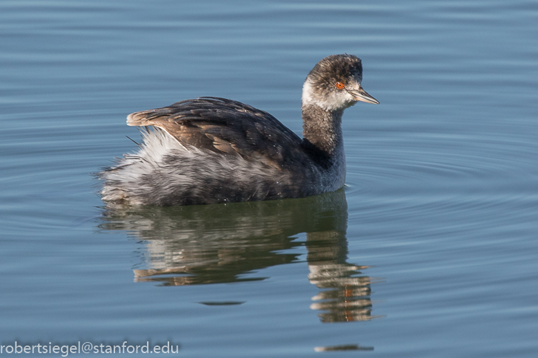 shoreline park